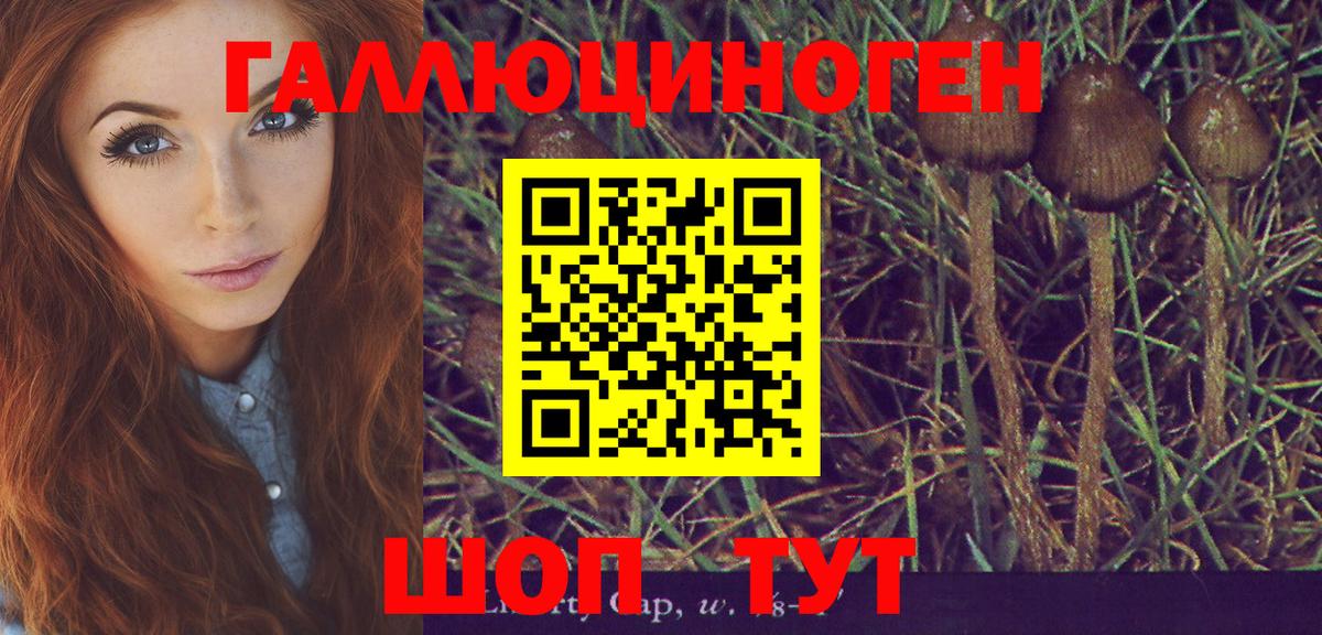 Чистополь  где можно купить наркотик  Вход с VPN  Псилоцибиновые грибы мухоморы 